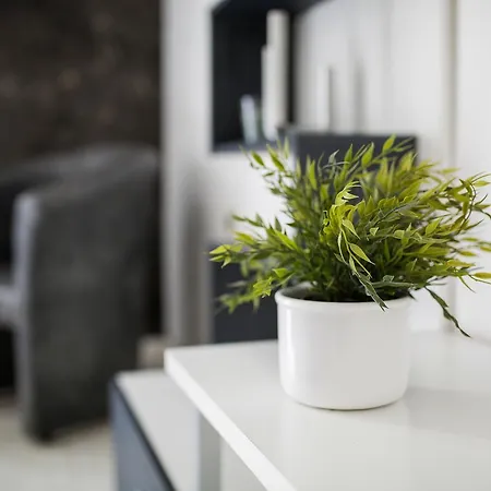 Princ Apartment Belgrade